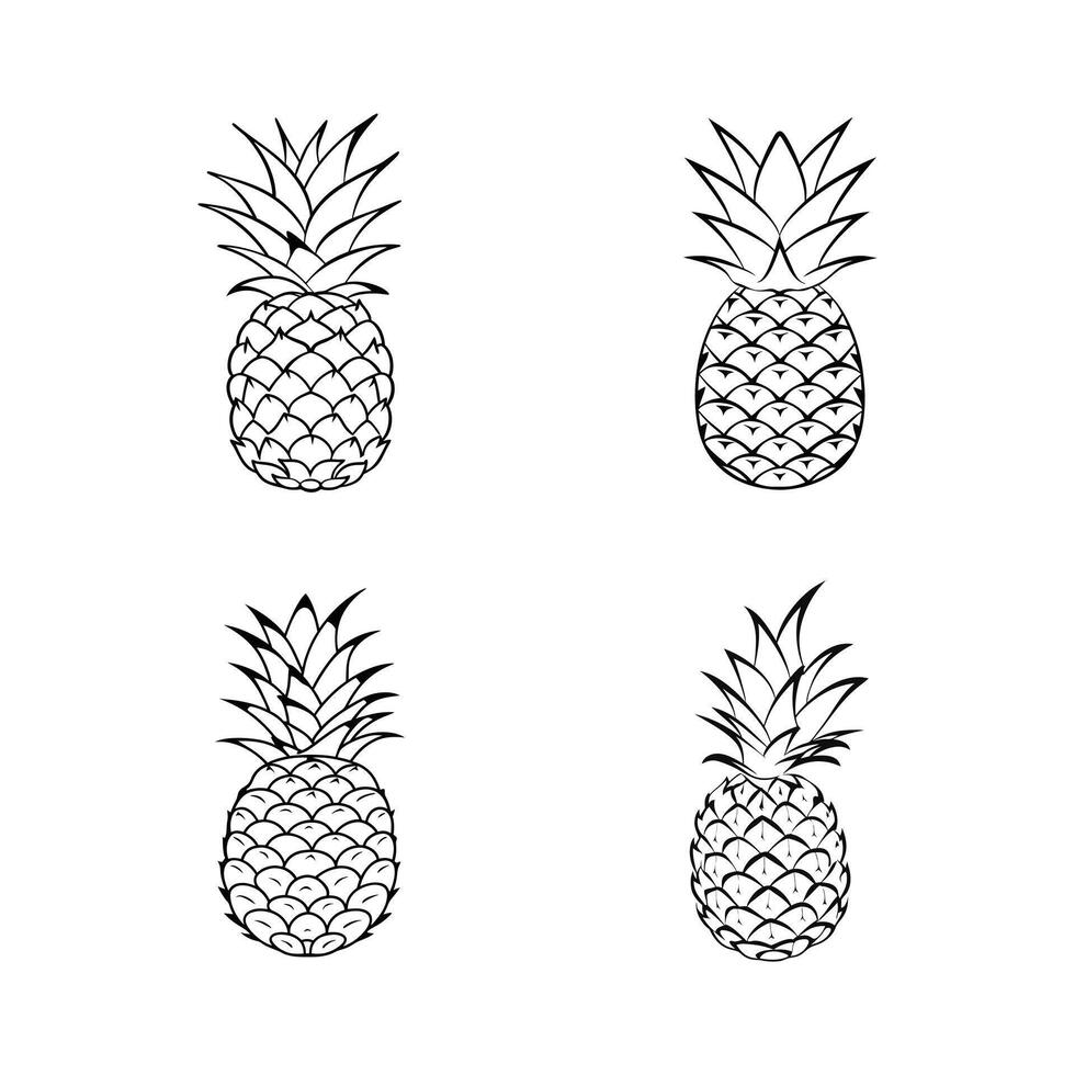 pineapple line art vector