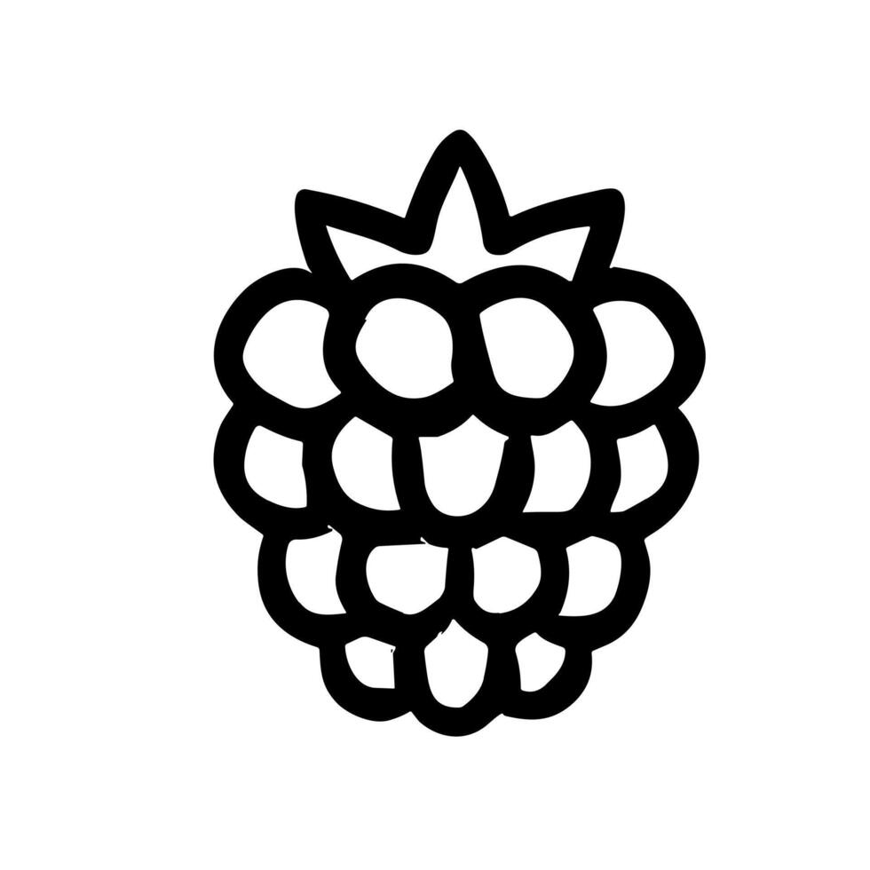 Simple Lineart Drawing Blackberry Fruit Outline Food Ingredient Icon vector