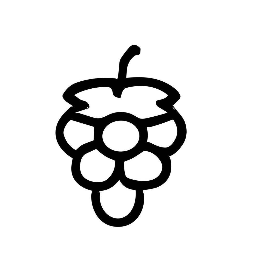 Simple Line Art Grape Fruit Outline Shape Handdrawn Icon Design vector