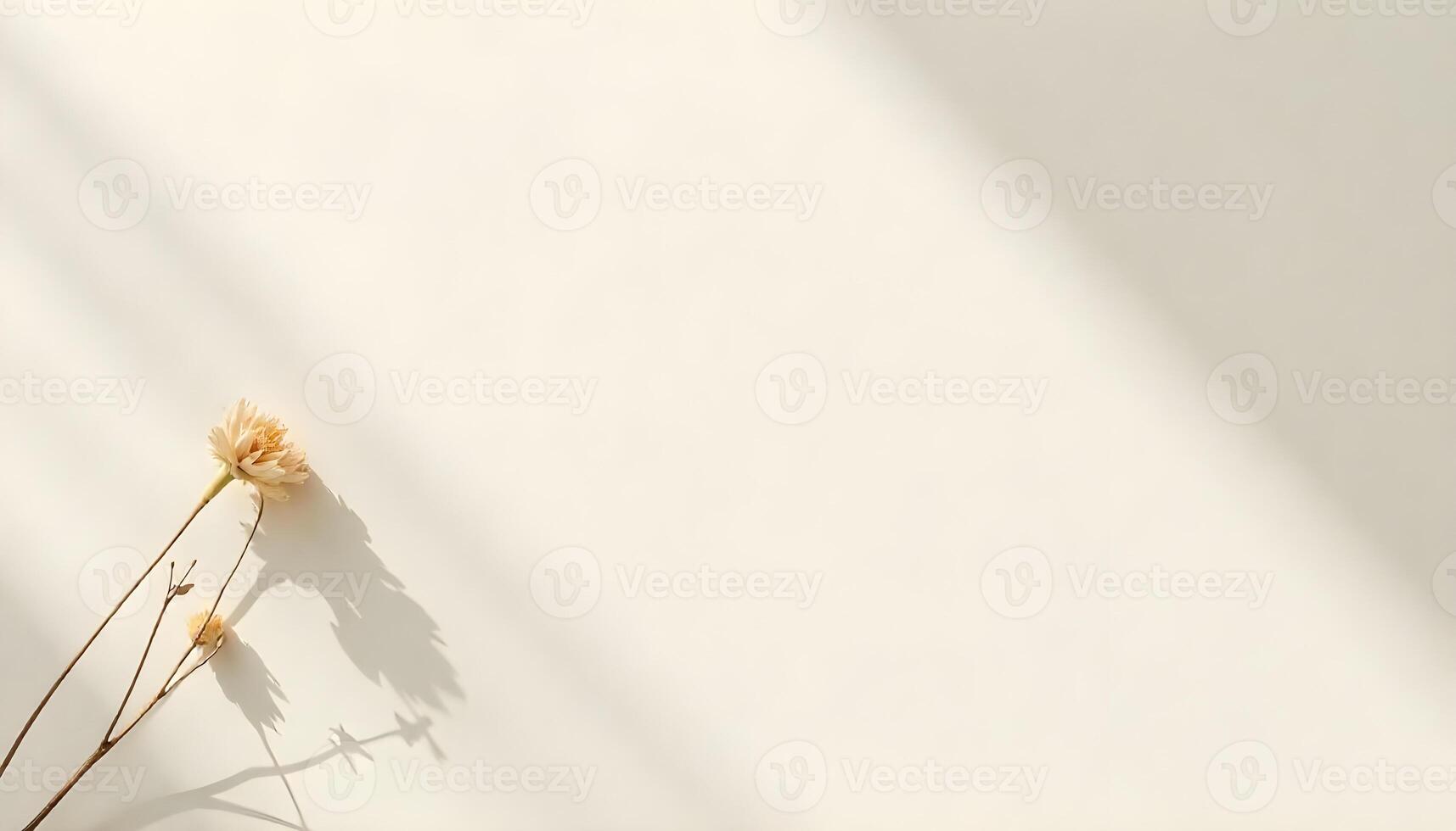 A delicate dried flower with stems cast a soft shadow against a subtle off-white backdrop. photo