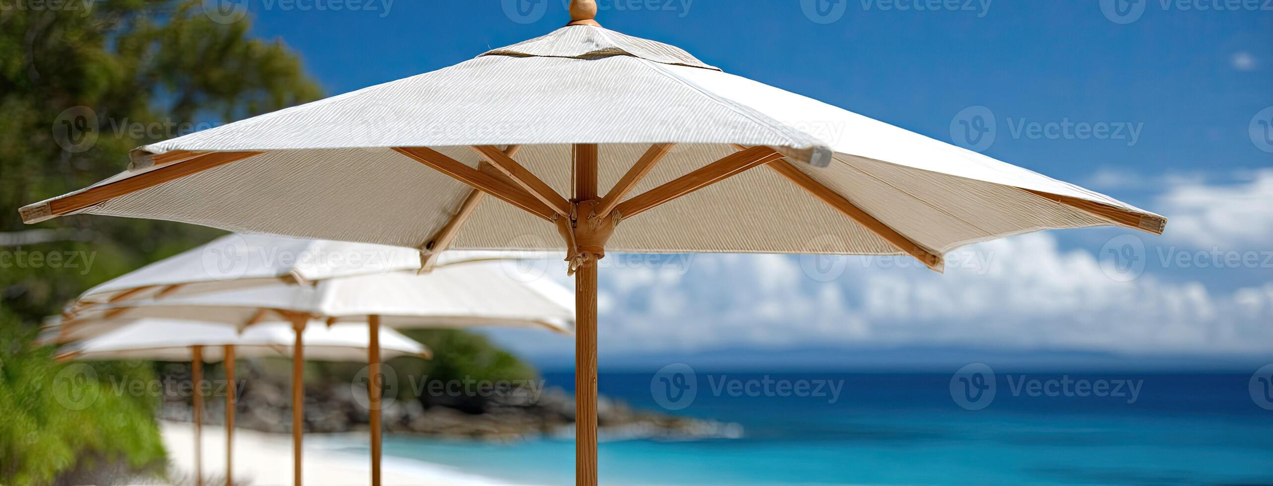 A row of umbrellas on a beach photo