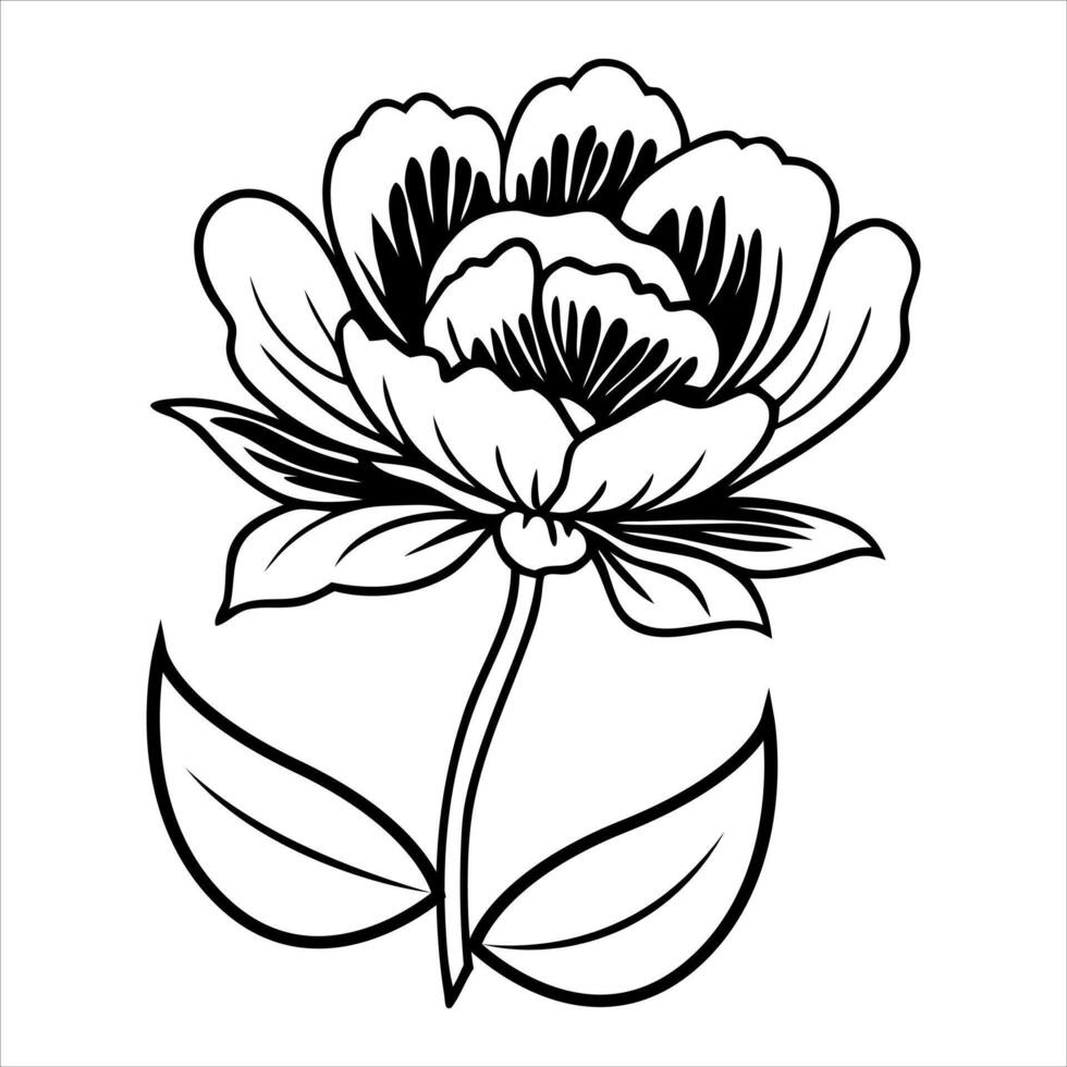 floral illustration of a blooming lotus flower, a beautiful nature symbol with elegant petals design vector