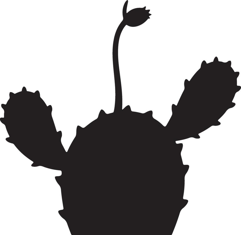 Cactus with budding stem silhouette, Growing desert plant black illustration vector