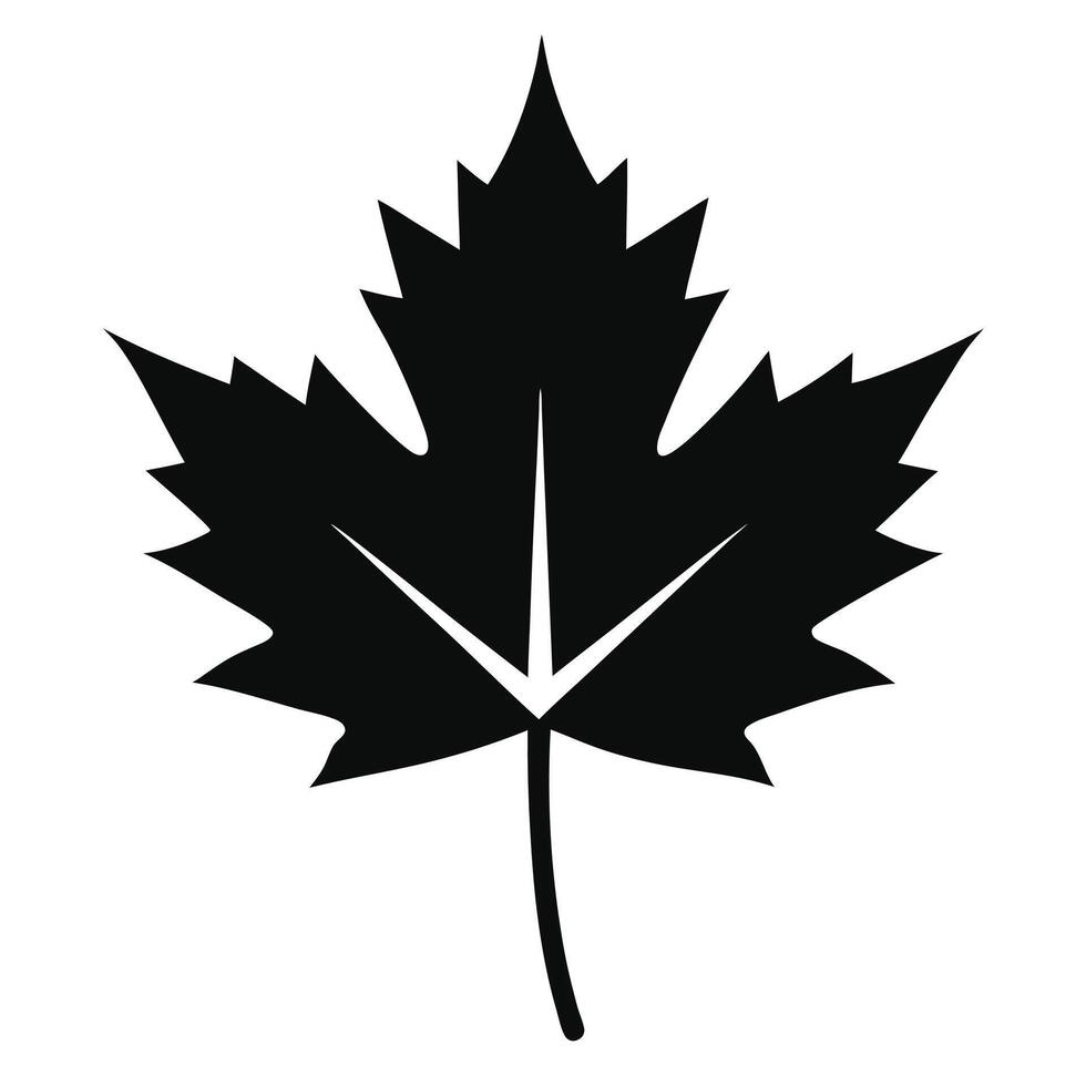 A black and white maple leaf icon vector