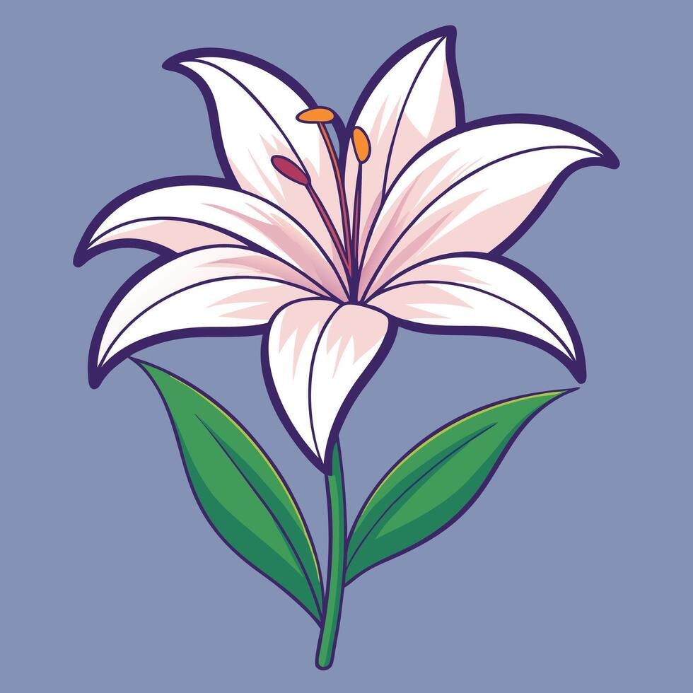 A lily flower on a blue background vector