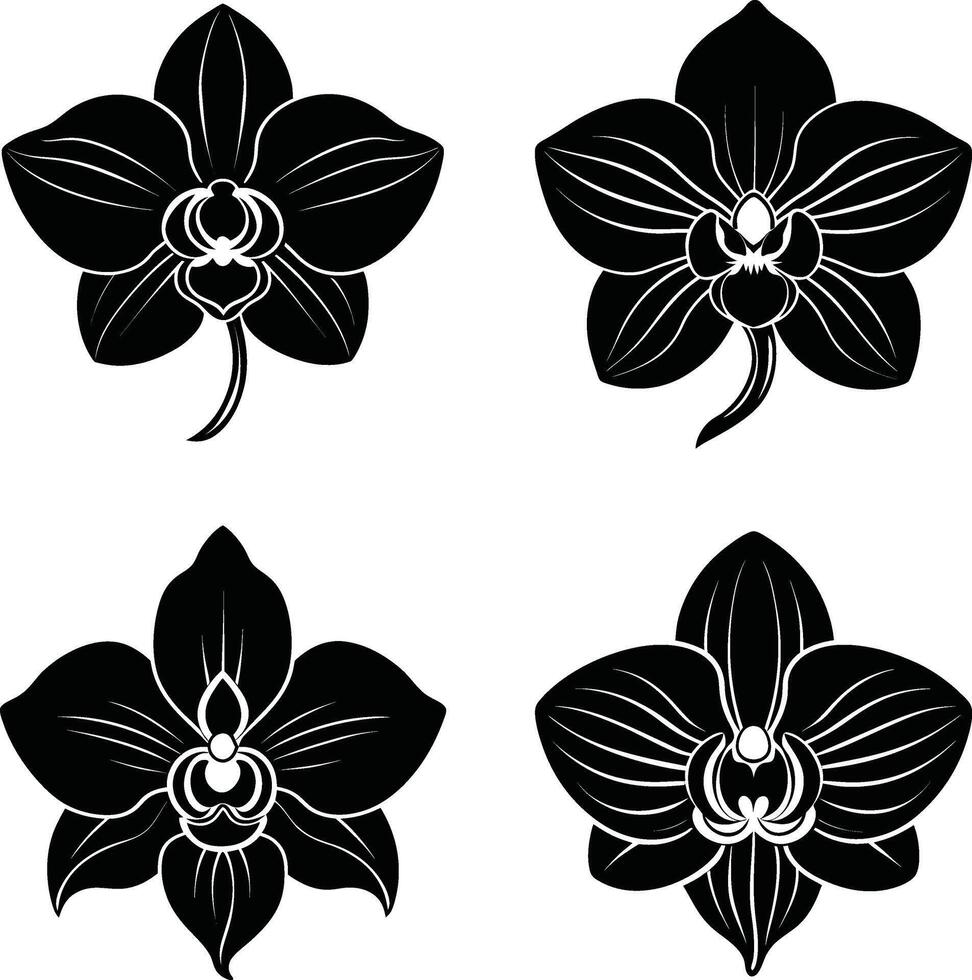 Flower Outline Collection Stylish Black Flower Ornaments Scalable Group for Illustration and Projects vector