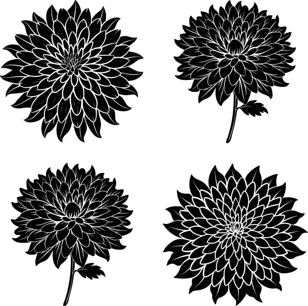 Botanical Shadow Bundle Decorative Monochrome Flower Ornaments Set for Design and Creations vector