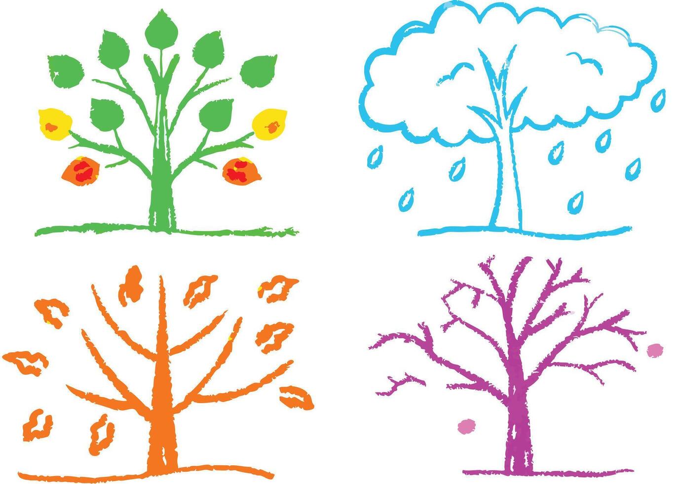 A collection of four seasons tree each depicting the unique beauty of nature's changing leaves, branches, and blossoms through spring, summer, autumn, and winter vector