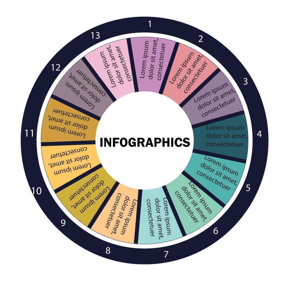 13 points visual infographics vector