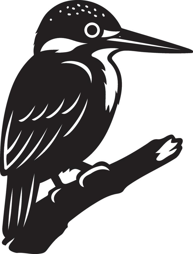 Kingfisher perched on branch, Bird silhouette black on tree branch vector