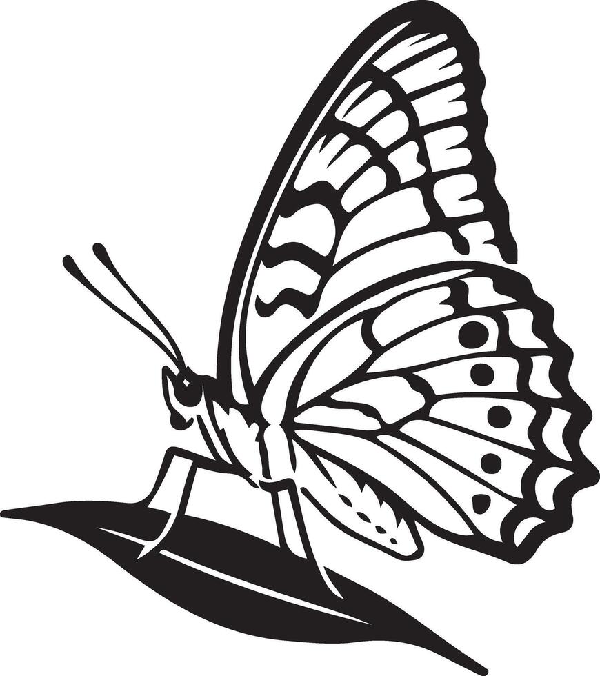 Butterfly on leaf illustration, elegant black and white graphic vector