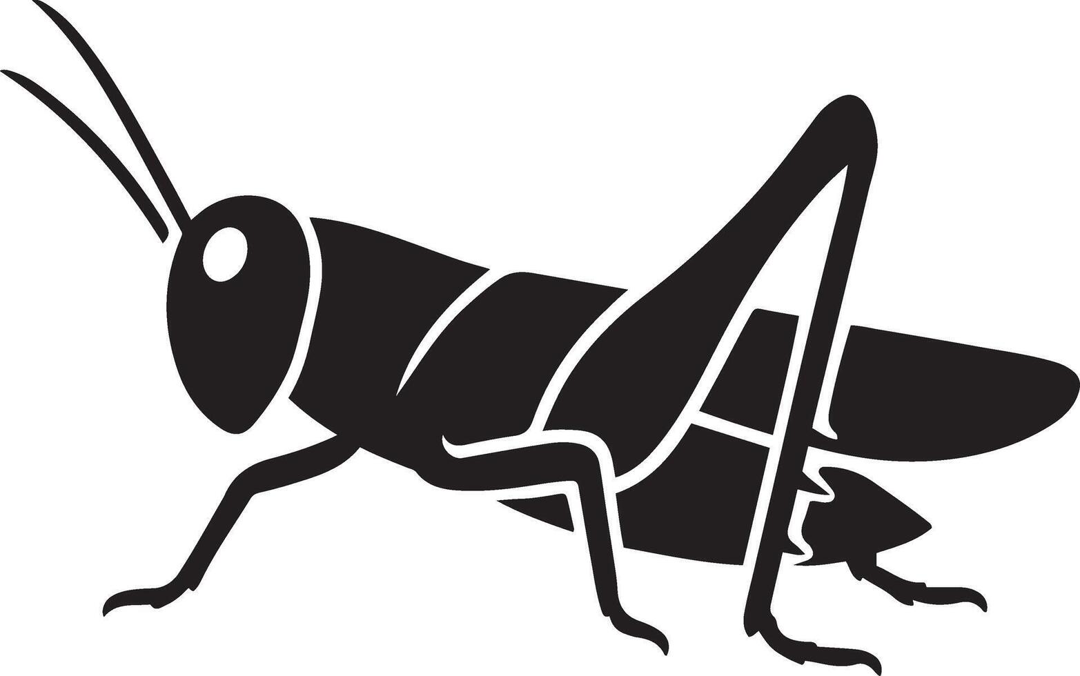 Grasshopper silhouette for graphic art, Basic insect figure black shape vector