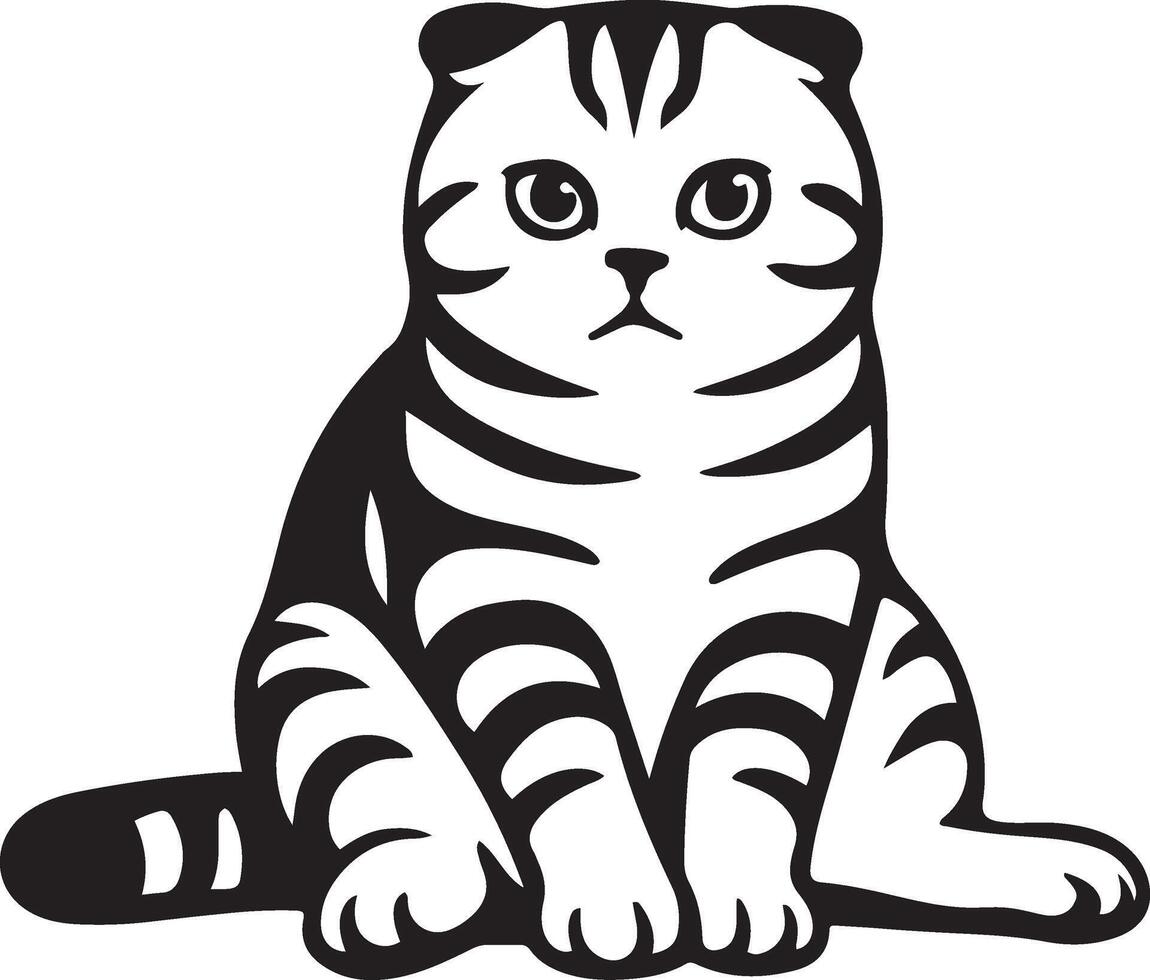 Scottish fold cat sketch sitting pose, Cute folded ears cat drawing black white vector