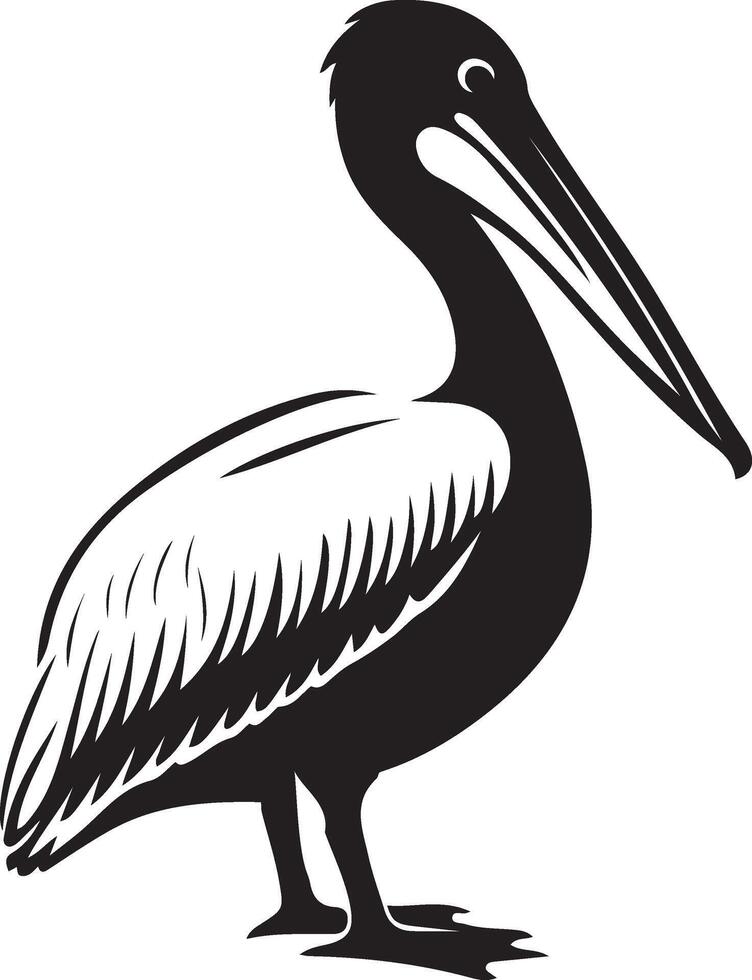 Striking pelican bird in silhouette, Elegant bird in flight illustration vector