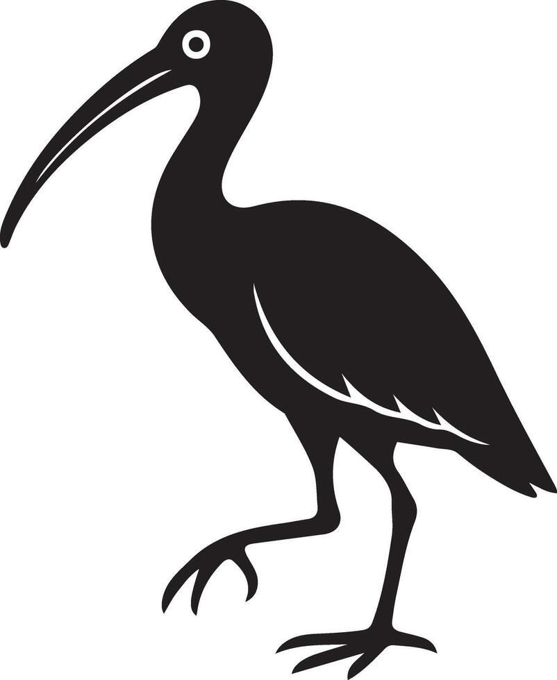 Striking ibis bird silhouette design, Bold black and white ibis illustration vector