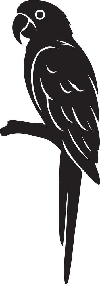 Parrot perched on branch silhouette, Tropical bird black and white illustration vector