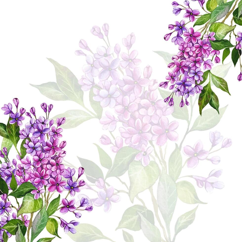 Lilac Watercolor Card Illustration. Hand Drawn Lilac Branches on white vector