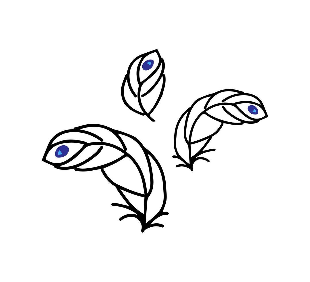 Hand drawn peacock feather icon set. vector
