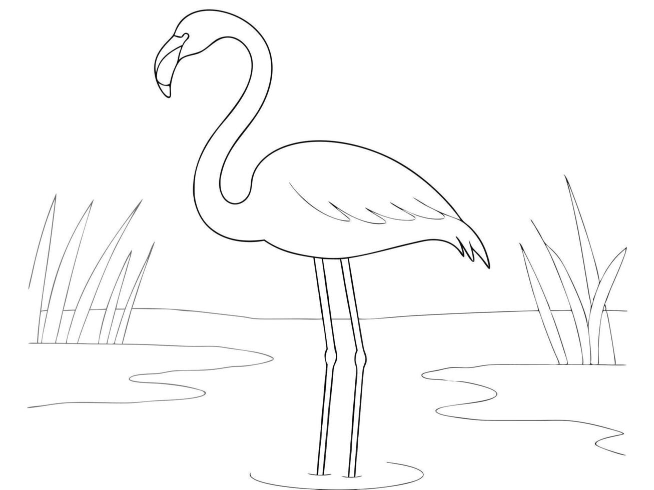 Simple black and white drawing of a flamingo standing in shallow water with reeds. vector