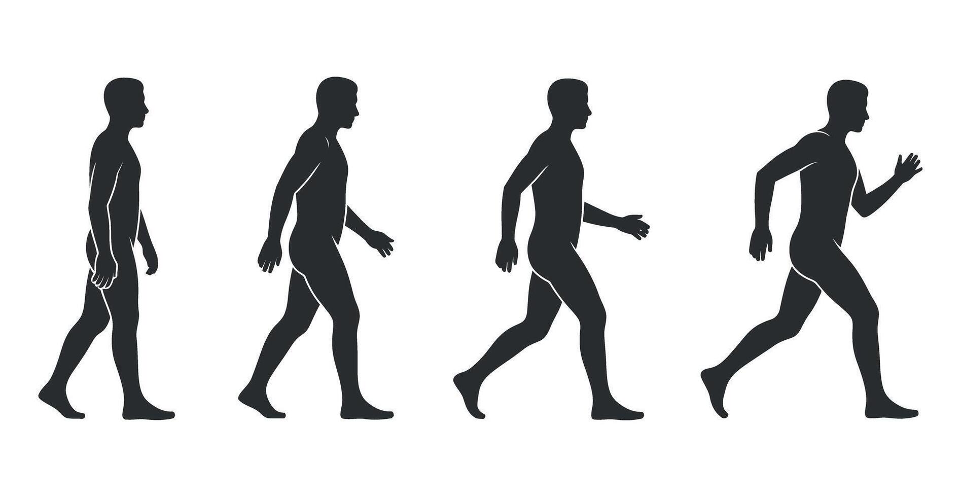 Human Movement Sequence A Progression from Standing to Walking to Running Illustrated with Four Dark Silhouettes Against a Plain White Background Demonstrating Locomotion vector