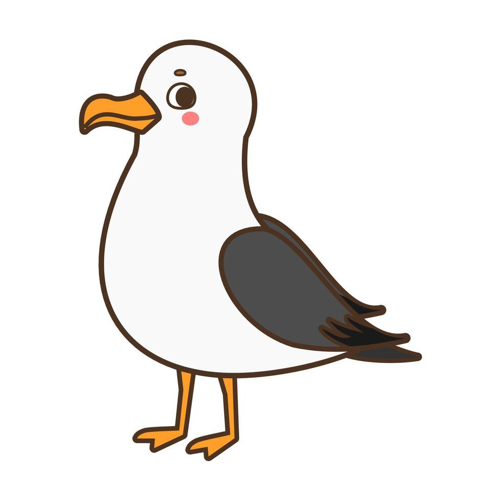 Cute seagull coastal bird illustration isolated on white background vector