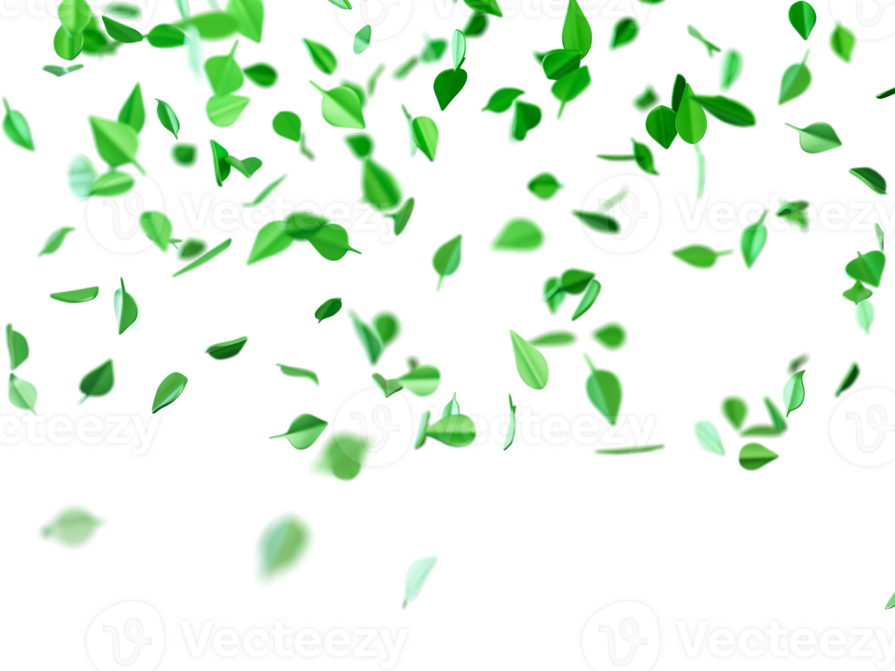 Green leaves cascade downward, creating a soothing visual effect on transparent backdrop. This serene depiction evokes a sense of calm and natural beauty throughout the scene. Botanical header. png