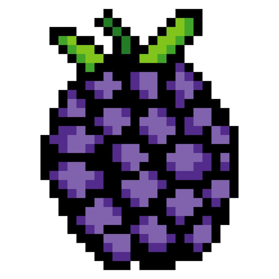 Blackberry fruit with pixel art isolated on white background vector