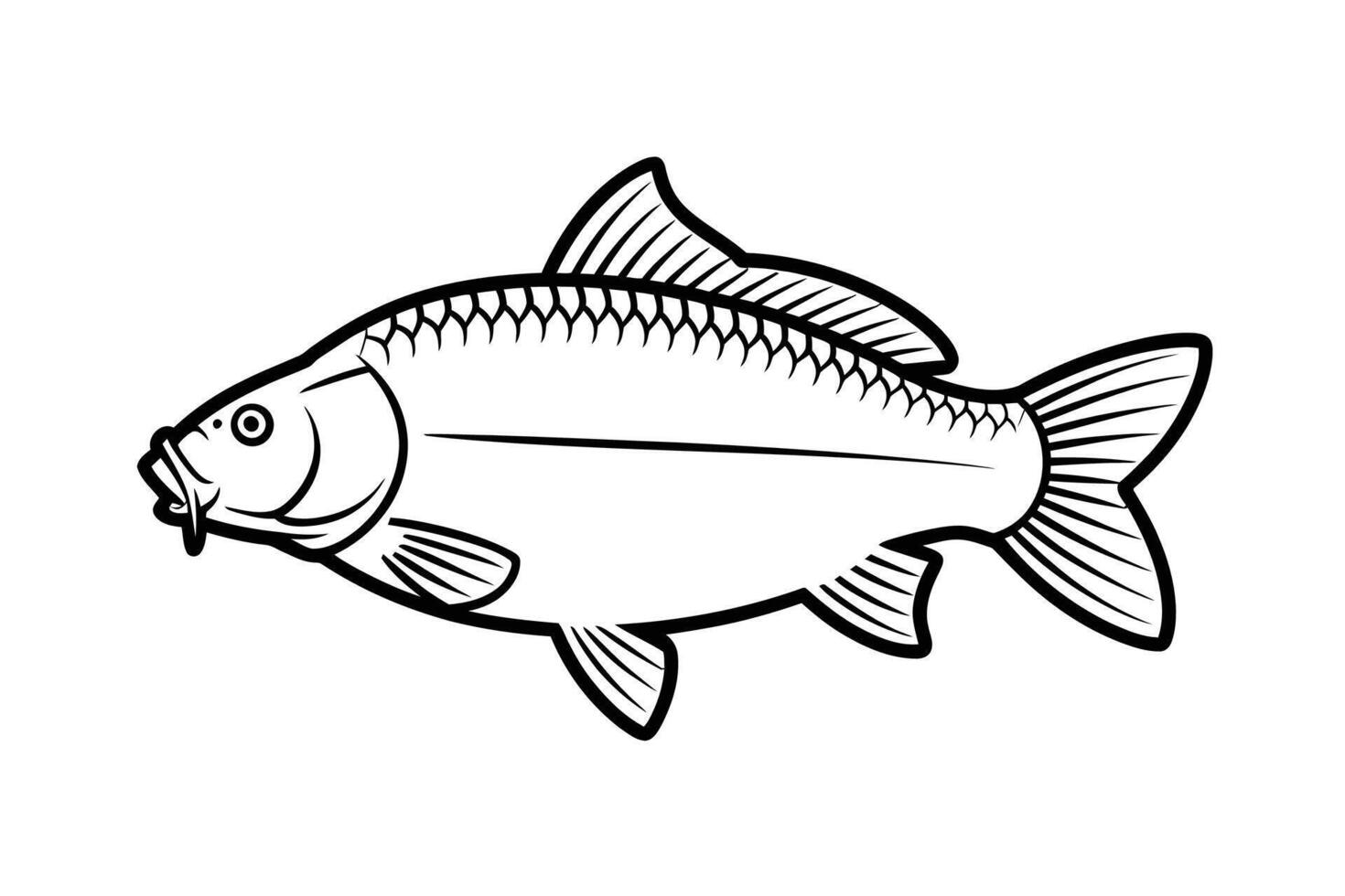 Wild Carp Silhouette Aquatic Life Graphic vector