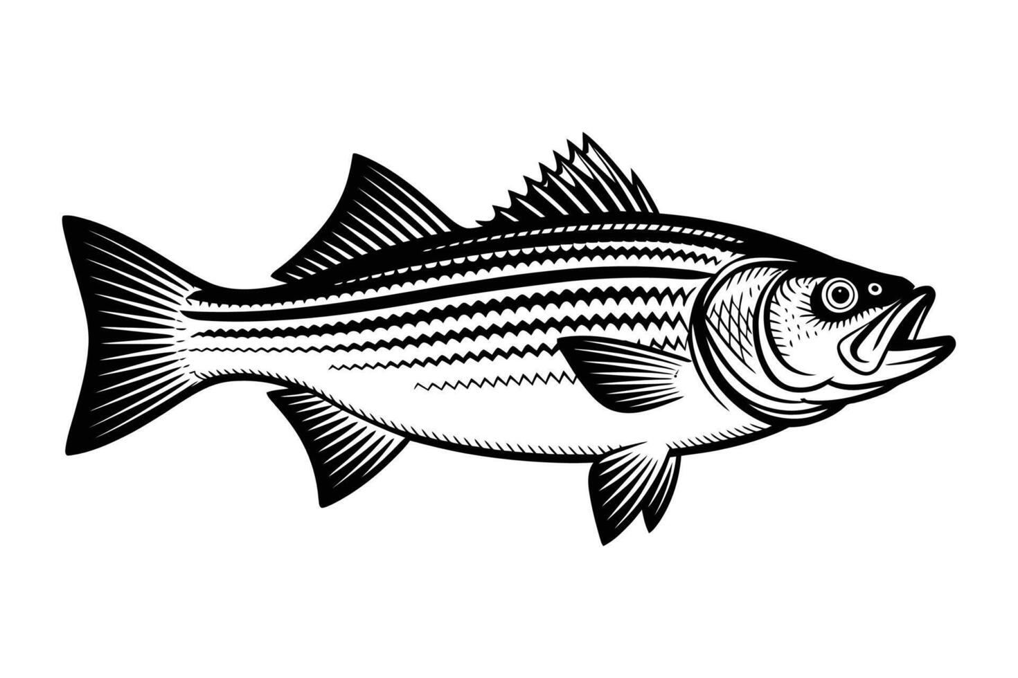 Catch of the Day Abstract Striped Bass vector