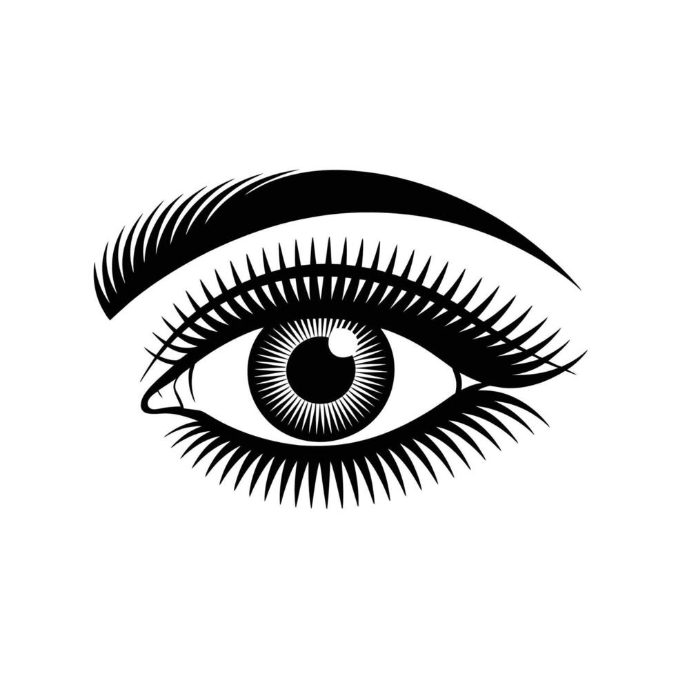 Detailed Eye with Lashes vector