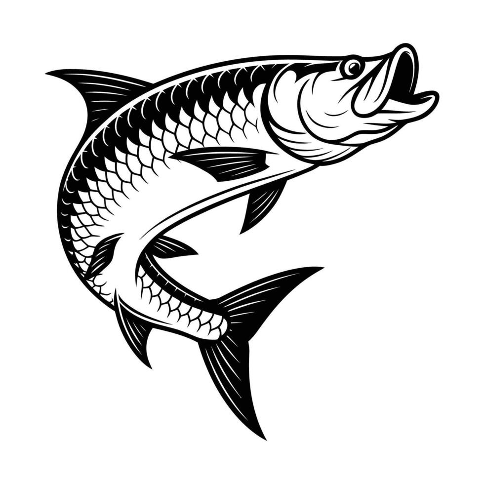 Monochromatic Tarpon Illustration vector