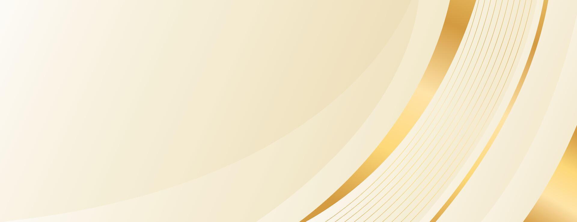 Elegant beige luxury banner background with gold lines vector