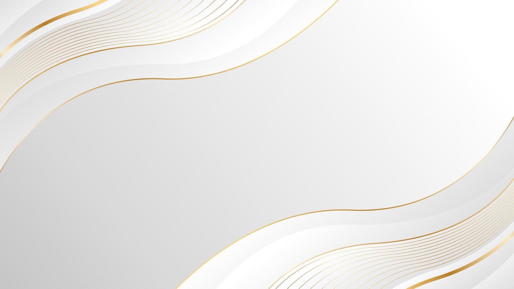 Abstract white and gray luxury wave background with gold lines vector