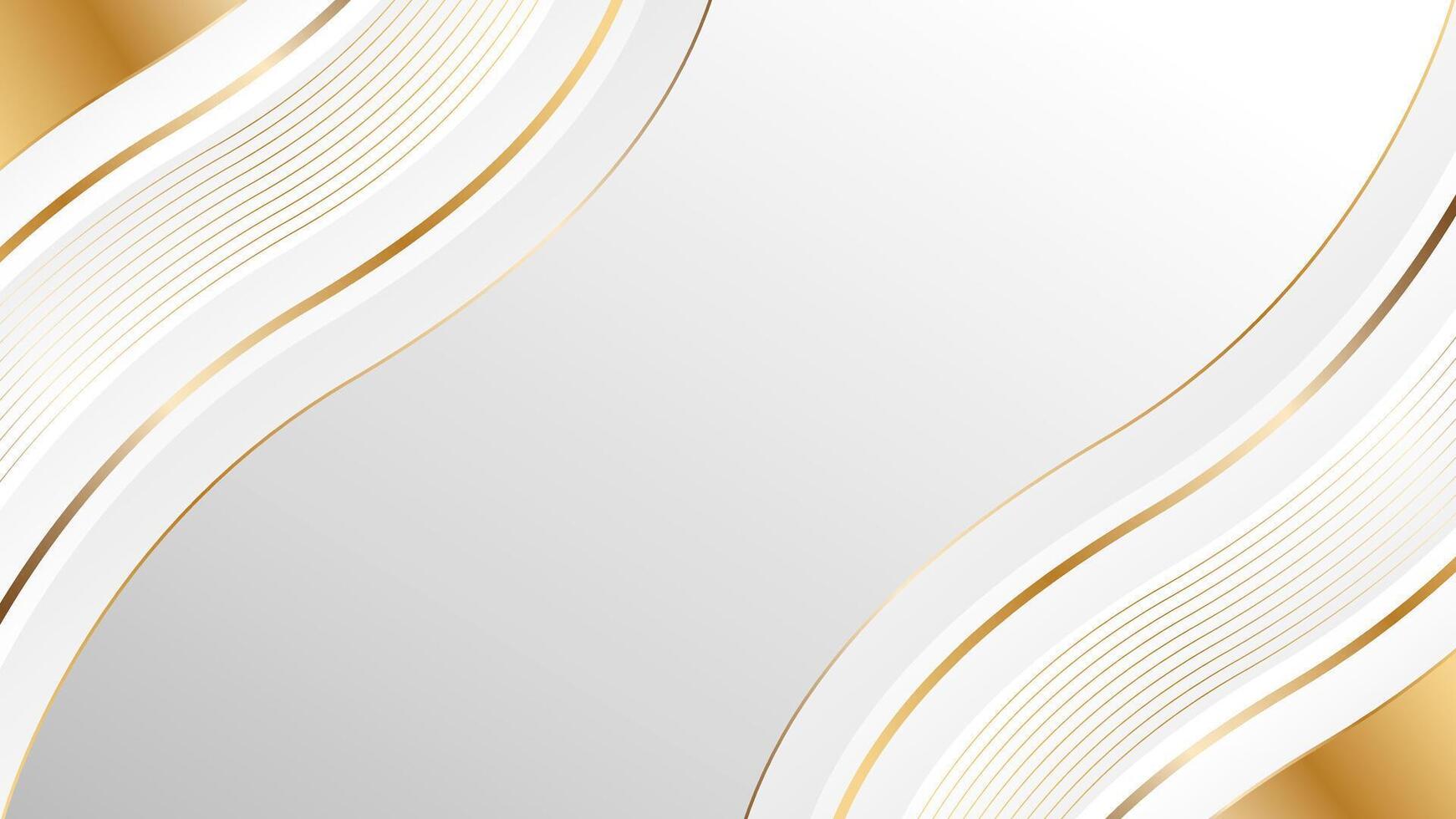 Elegant white and gray luxury wave background with gold lines vector