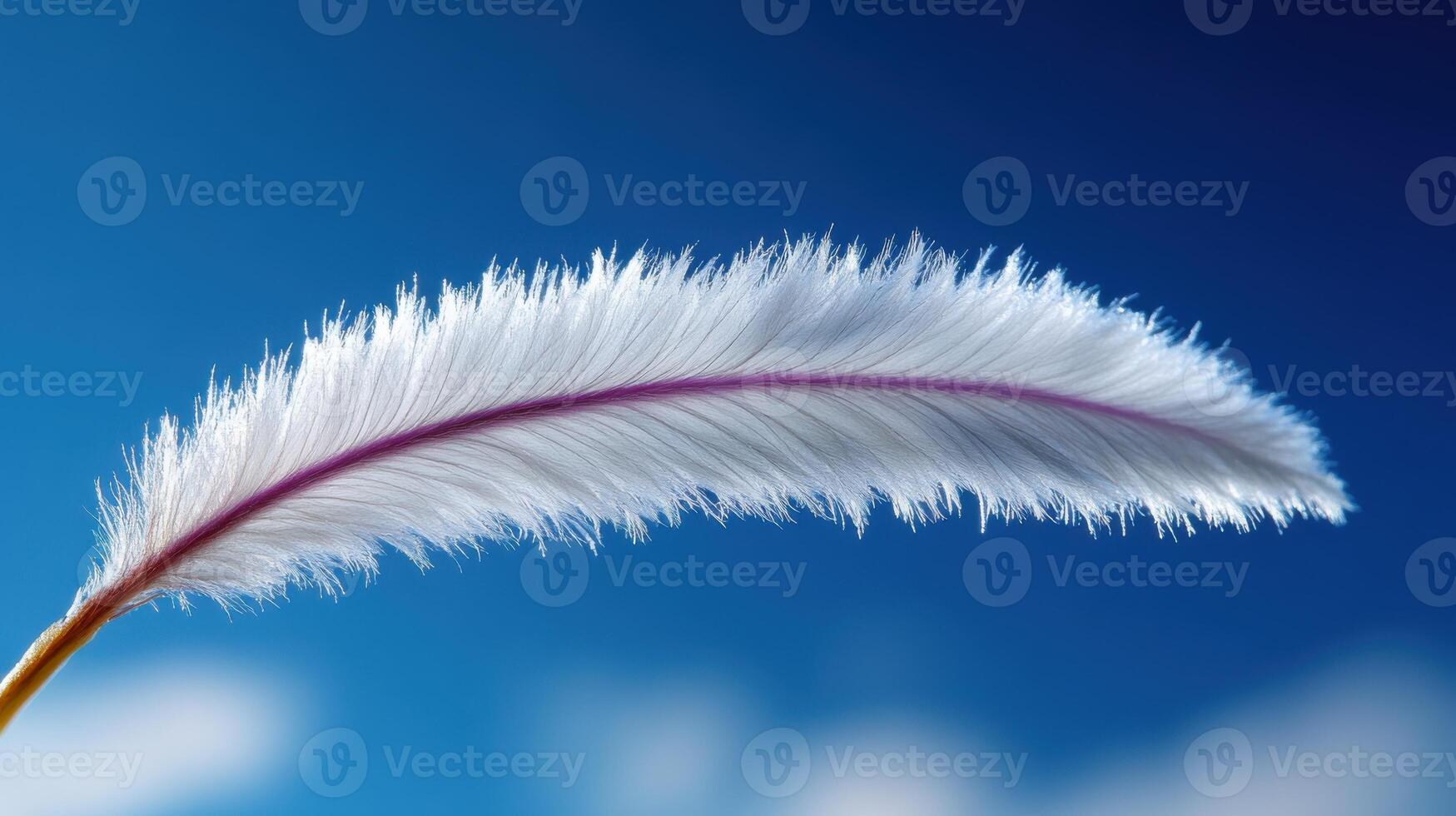 A delicate white feather floats gently against a bright blue sky. The sunlight illuminates its soft fibers, showcasing a subtle pink vein running through it, creating an ethereal look photo
