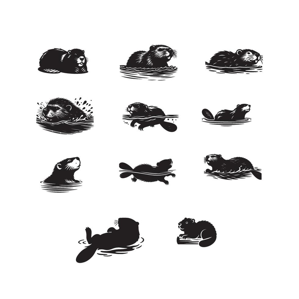 Set of otters vector