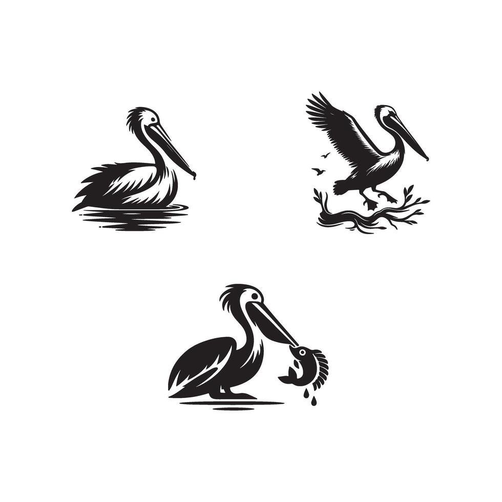 Four pelicans in different poses and sizes vector