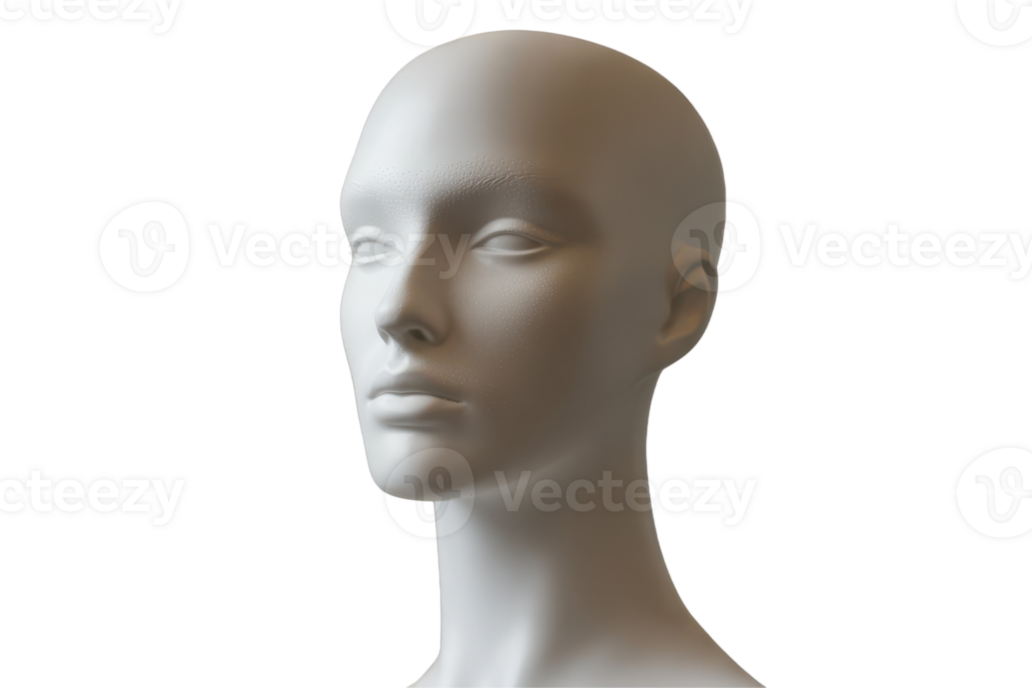 Mannequin head displaying neutral expression indoors png