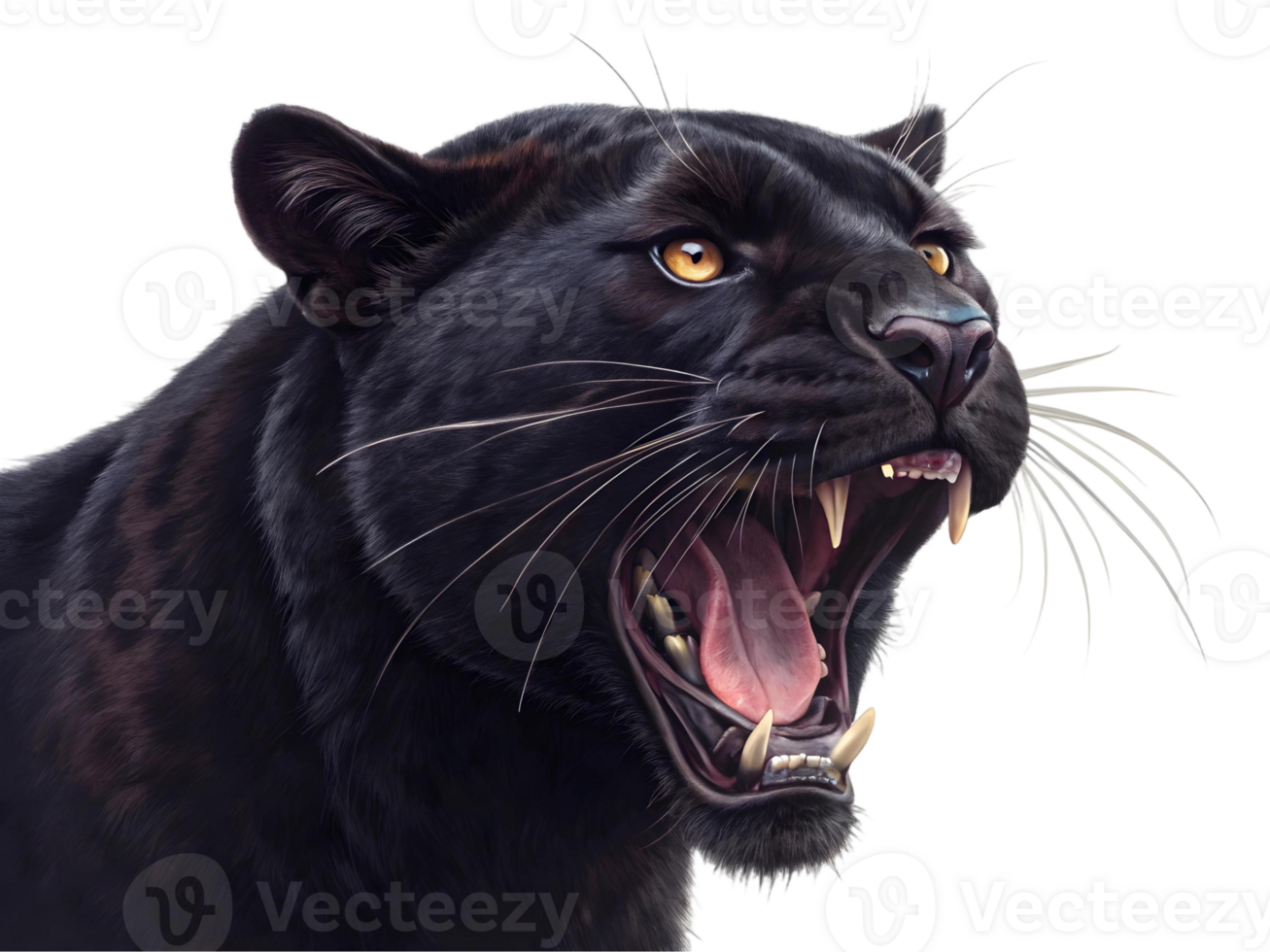 a black panther roaring with its mouth open showing sharp teeth on a transparent background png