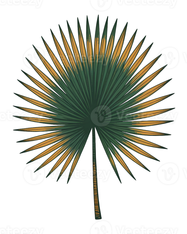 Isolated green and yellow palm leaf with transparent background creating a tropical vibe for your design png