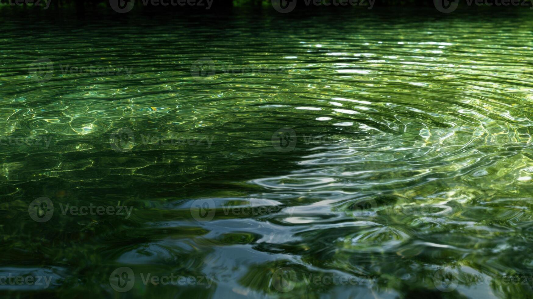 A bird flying over a pond with green water photo