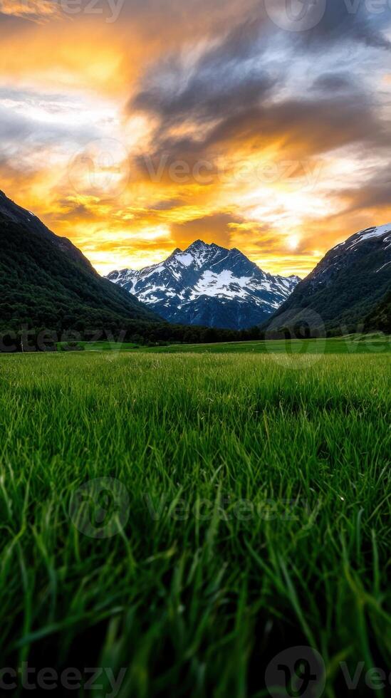 A beautiful sunset over a green field with mountains in the background photo