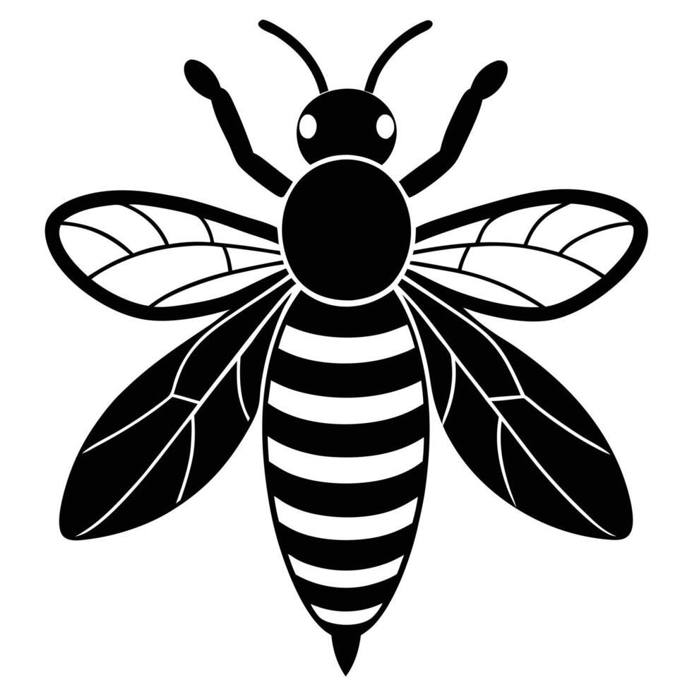 Stylized Black and White Honeybee Illustration with Wing Details and Striped Abdomen Design vector