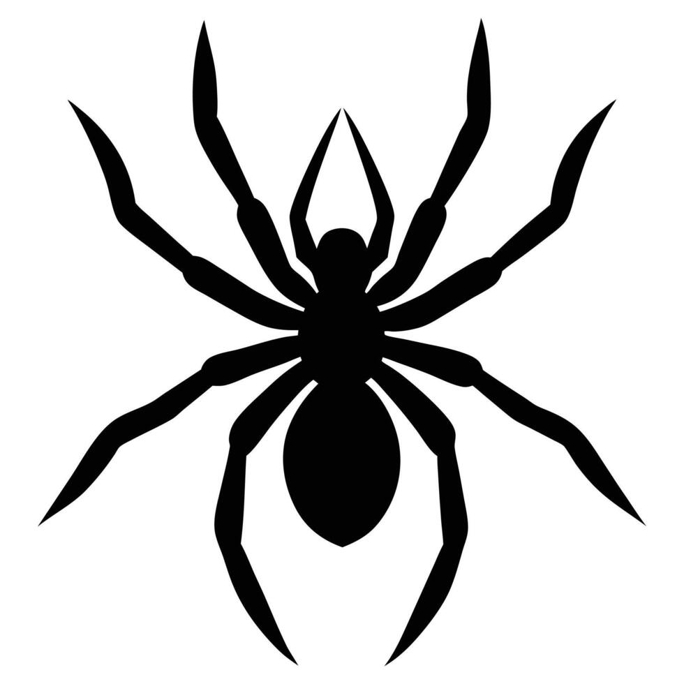 Bold Silhouette of EightLegged Spider with Detailed Legs and Body Shape on White vector