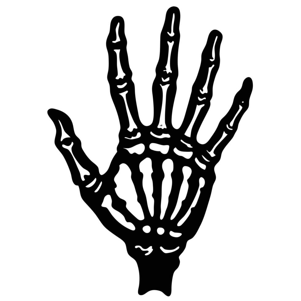 Anatomical Illustration Detailed Black and White Rendering of a Human Hand Skeleton Anatomy vector