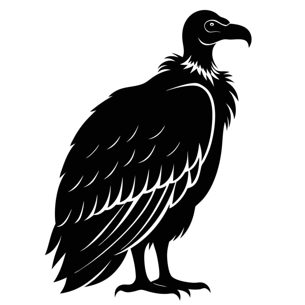 Bold Silhouette Striking Vulture Illustration Against White Backdrop, Detailed Feathers and Fierce Gaze vector