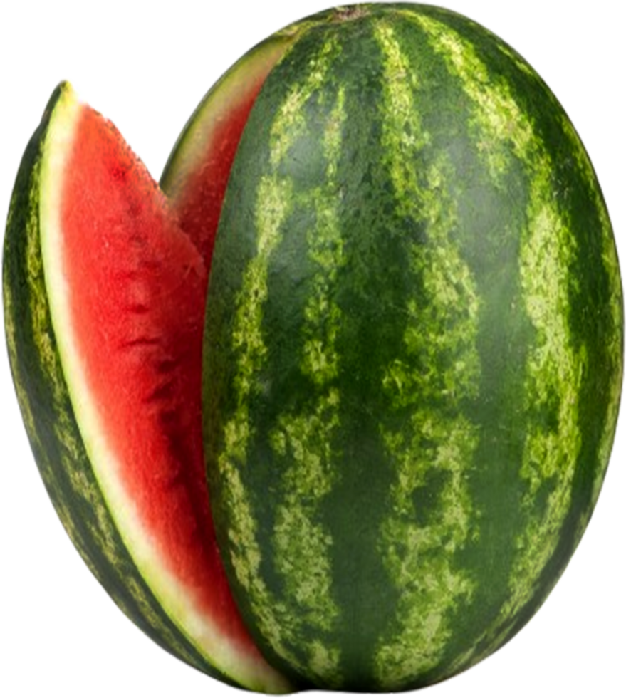 Fresh ripe watermelon slice on showing juicy red fruit png
