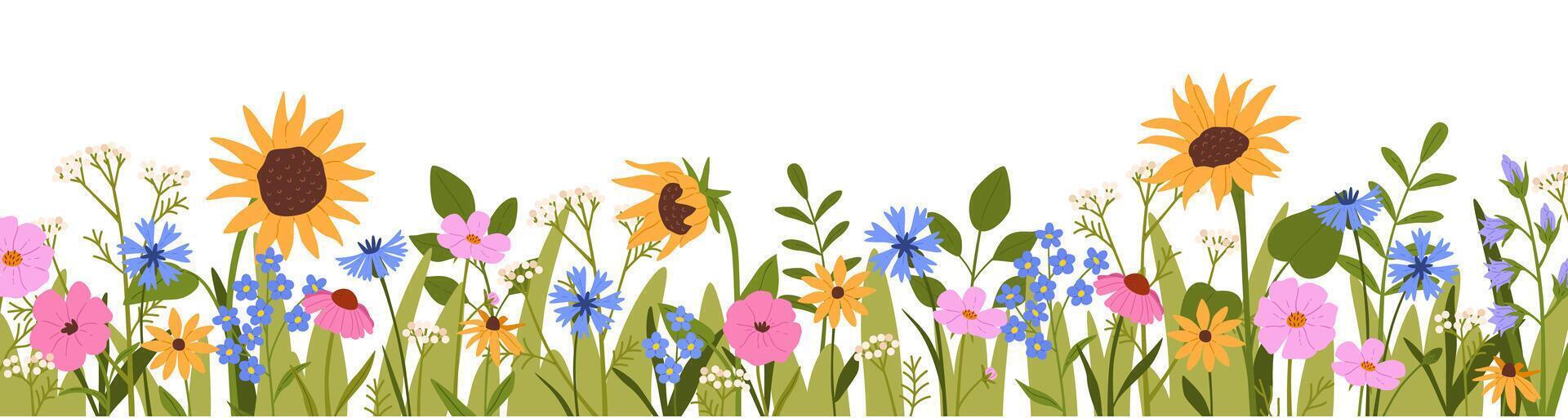 Flower border. Wildflowers blooming with bees and ladybugs in natural grass. Daisy, cornflower and sunflower. Meadow herbs and field wildflowers. horizontal border vector