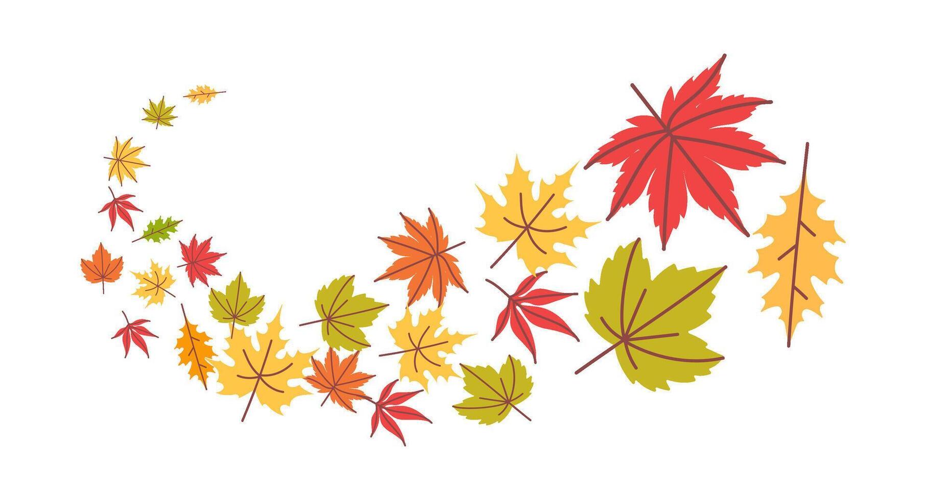 Autumn falling leaves. Flying swirl of orange tree foliage. Thanksgiving background with yellow, red and green maple and oak leaves. Fall sale season banner template vector