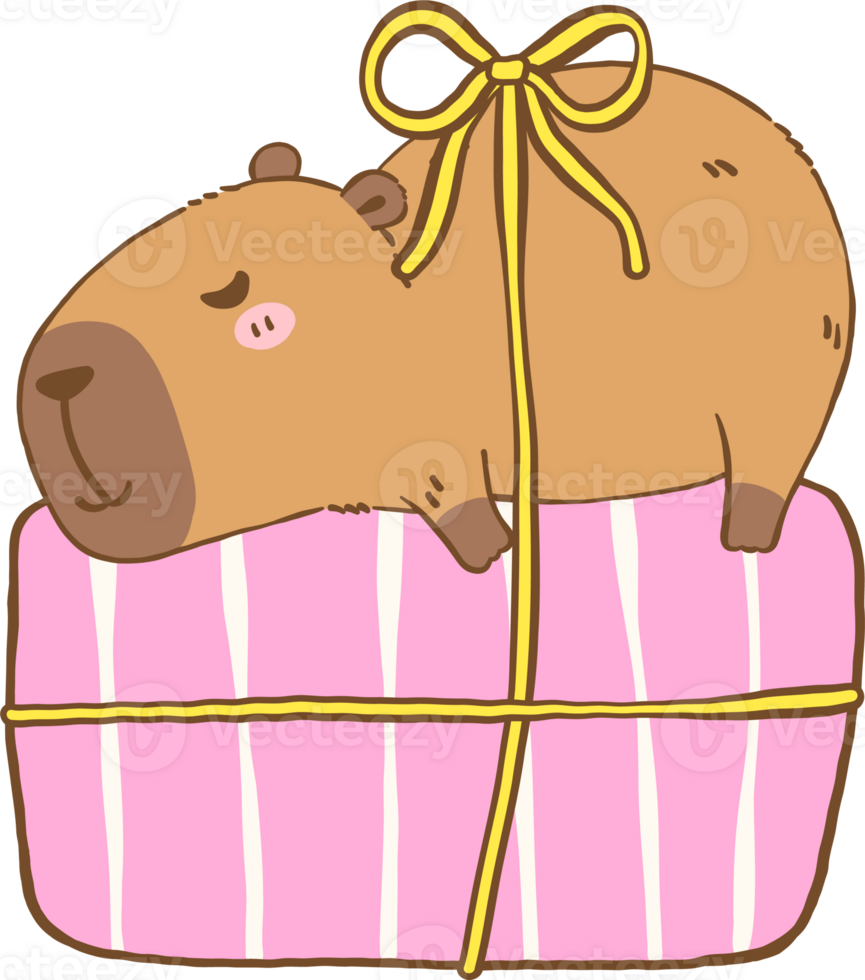 Illustration of Birthday Capybara Sleeping on Gift png